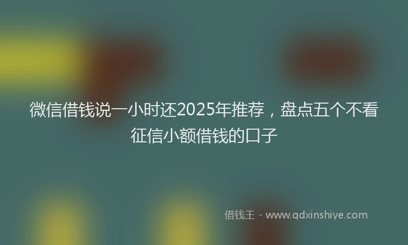 微信借钱说一小时还2025年推荐，盘点五个不看征信小额借钱的口子