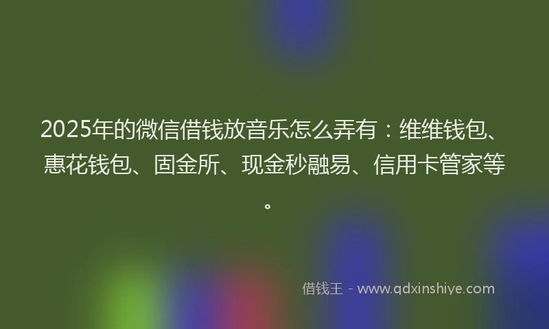 2025年的微信借钱放音乐怎么弄有：维维钱包、惠花钱包、固金所、现金秒融易、信用卡管家等。