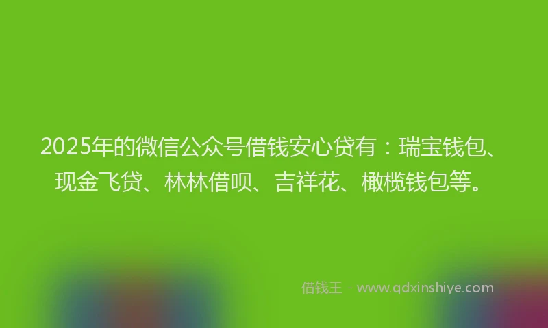 2025年的微信公众号借钱安心贷有：瑞宝钱包、现金飞贷、林林借呗、吉祥花、橄榄钱包等。