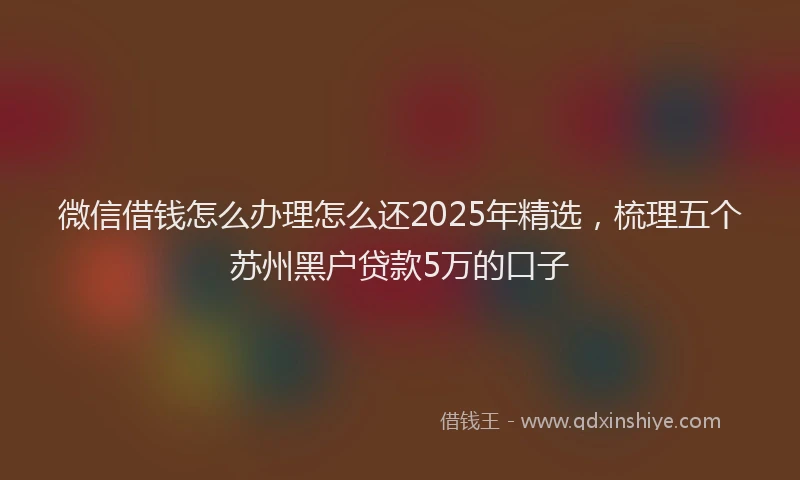 微信借钱怎么办理怎么还2025年精选，梳理五个苏州黑户贷款5万的口子