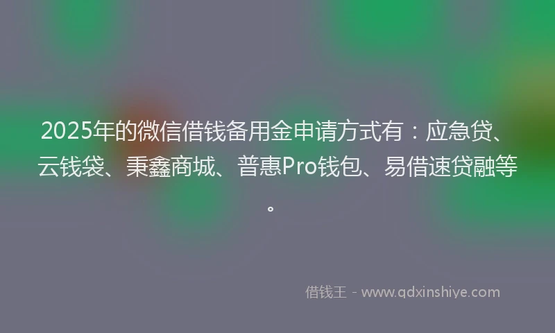 2025年的微信借钱备用金申请方式有：应急贷、云钱袋、秉鑫商城、普惠Pro钱包、易借速贷融等。