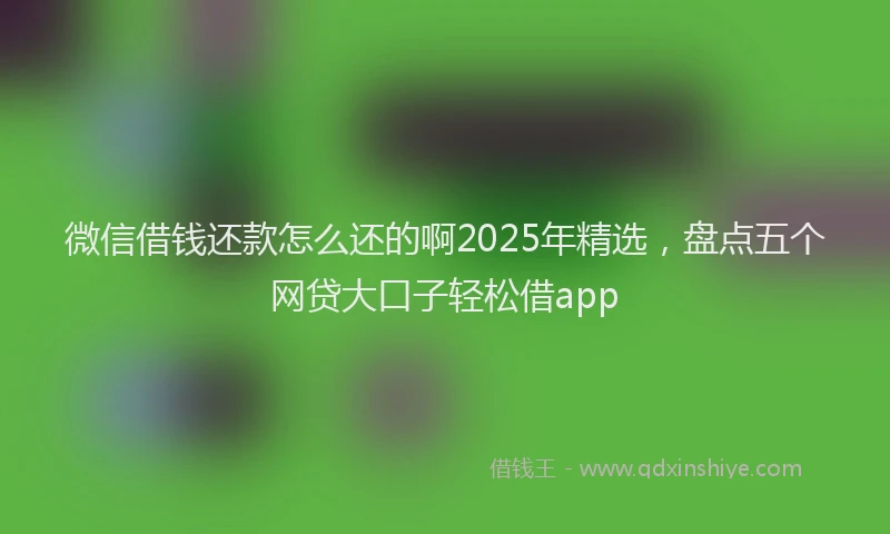 微信借钱还款怎么还的啊2025年精选，盘点五个网贷大口子轻松借app