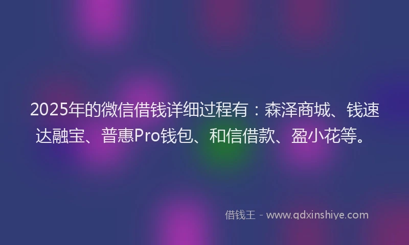 2025年的微信借钱详细过程有：森泽商城、钱速达融宝、普惠Pro钱包、和信借款、盈小花等。
