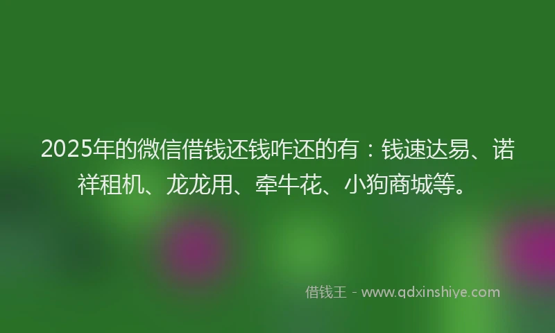 2025年的微信借钱还钱咋还的有：钱速达易、诺祥租机、龙龙用、牵牛花、小狗商城等。