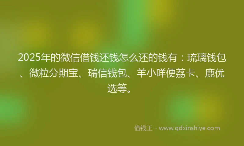 2025年的微信借钱还钱怎么还的钱有：琉璃钱包、微粒分期宝、瑞信钱包、羊小咩便荔卡、鹿优选等。