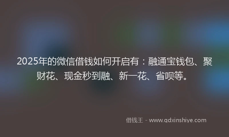 2025年的微信借钱如何开启有：融通宝钱包、聚财花、现金秒到融、新一花、省呗等。