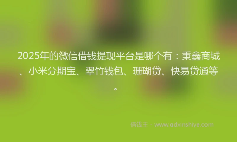 2025年的微信借钱提现平台是哪个有：秉鑫商城、小米分期宝、翠竹钱包、珊瑚贷、快易贷通等。
