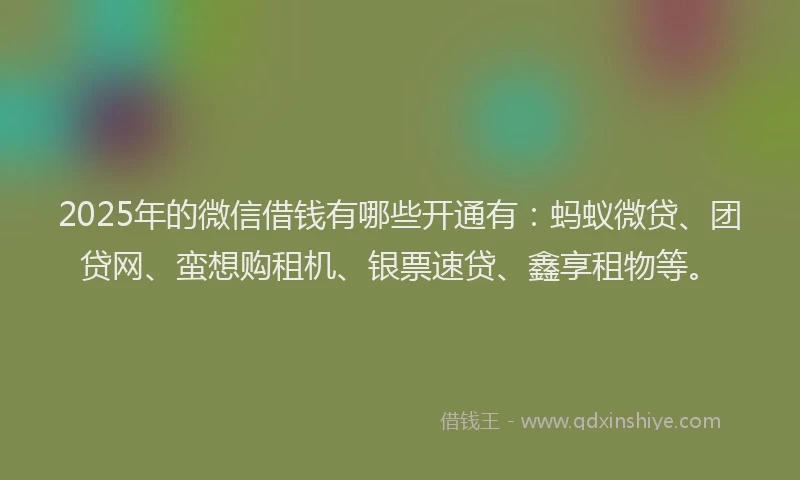 2025年的微信借钱有哪些开通有：蚂蚁微贷、团贷网、蛮想购租机、银票速贷、鑫享租物等。