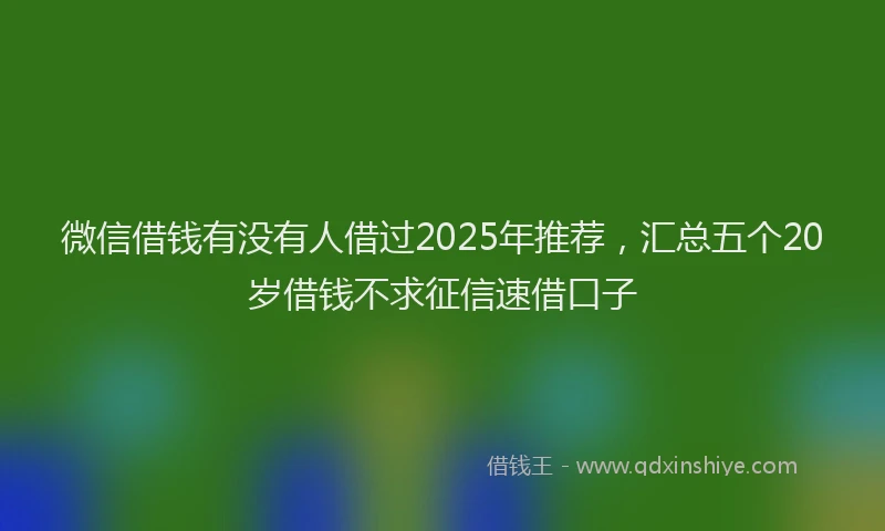 微信借钱有没有人借过2025年推荐，汇总五个20岁借钱不求征信速借口子