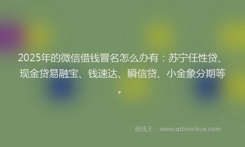 2025年的微信借钱冒名怎么办有：苏宁任性贷、现金贷易融宝、钱速达、瞬信贷、小金象分期等。