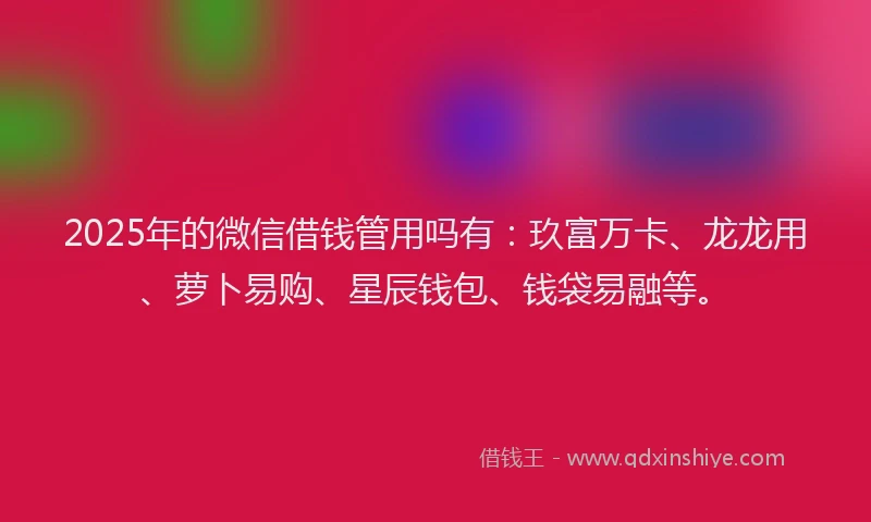 2025年的微信借钱管用吗有：玖富万卡、龙龙用、萝卜易购、星辰钱包、钱袋易融等。