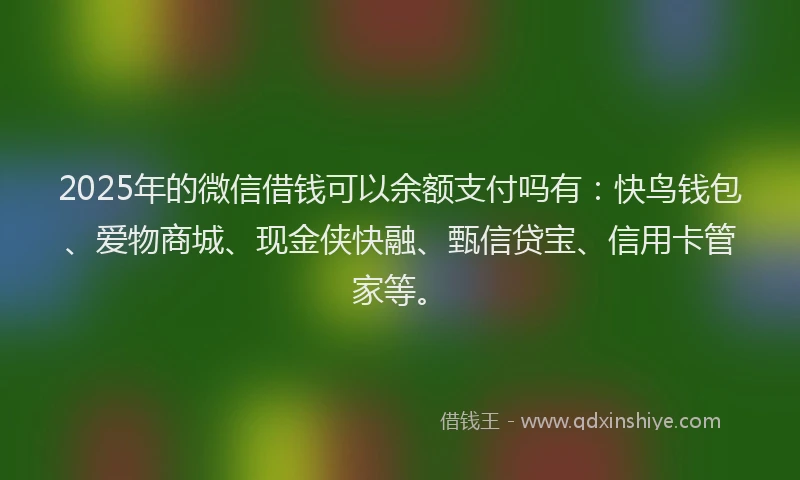 2025年的微信借钱可以余额支付吗有：快鸟钱包、爱物商城、现金侠快融、甄信贷宝、信用卡管家等。
