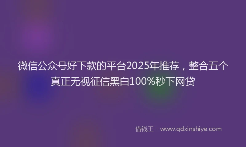 微信公众号好下款的平台2025年推荐，整合五个真正无视征信黑白100%秒下网贷