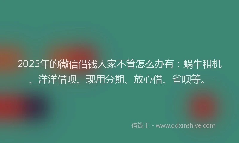 2025年的微信借钱人家不管怎么办有：蜗牛租机、洋洋借呗、现用分期、放心借、省呗等。