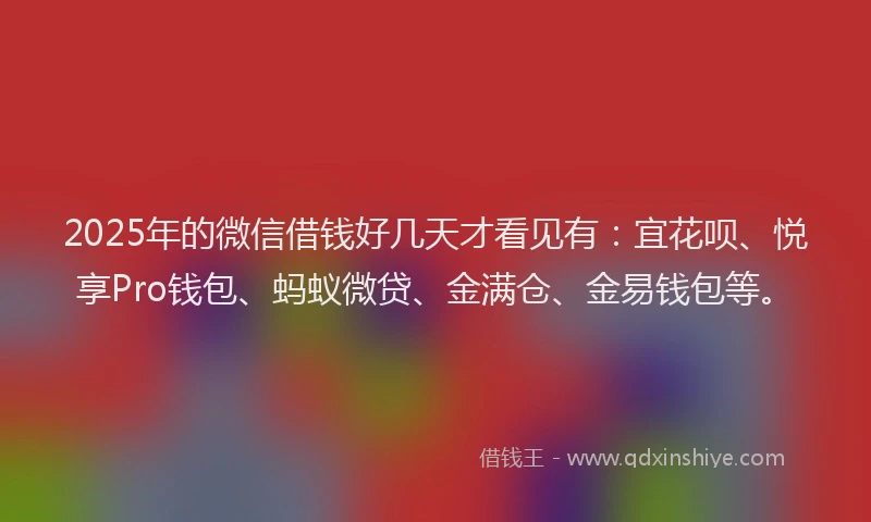 2025年的微信借钱好几天才看见有：宜花呗、悦享Pro钱包、蚂蚁微贷、金满仓、金易钱包等。