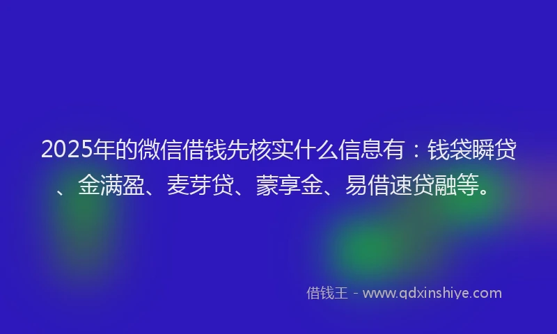 2025年的微信借钱先核实什么信息有：钱袋瞬贷、金满盈、麦芽贷、蒙享金、易借速贷融等。