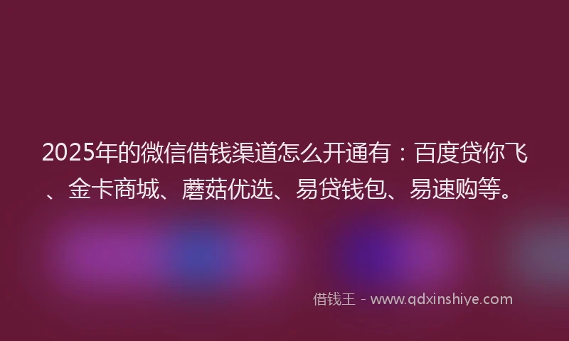 2025年的微信借钱渠道怎么开通有：百度贷你飞、金卡商城、蘑菇优选、易贷钱包、易速购等。