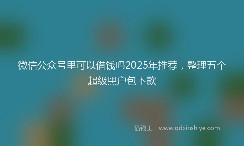 微信公众号里可以借钱吗2025年推荐，整理五个超级黑户包下款