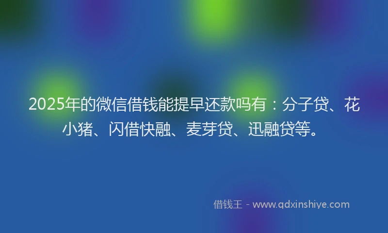2025年的微信借钱能提早还款吗有：分子贷、花小猪、闪借快融、麦芽贷、迅融贷等。