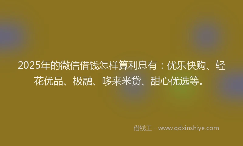 2025年的微信借钱怎样算利息有：优乐快购、轻花优品、极融、哆来米贷、甜心优选等。