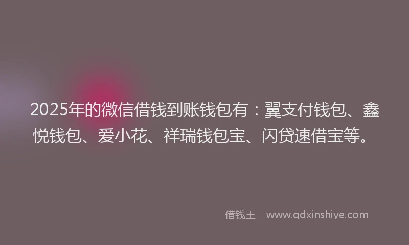 2025年的微信借钱到账钱包有：翼支付钱包、鑫悦钱包、爱小花、祥瑞钱包宝、闪贷速借宝等。