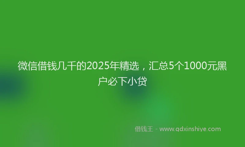 微信借钱几千的2025年精选，汇总5个1000元黑户必下小贷