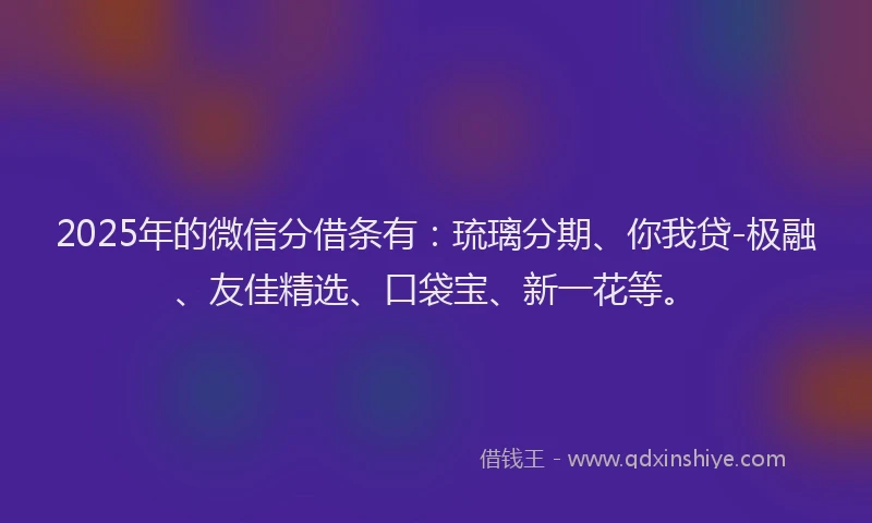 2025年的微信分借条有：琉璃分期、你我贷-极融、友佳精选、口袋宝、新一花等。