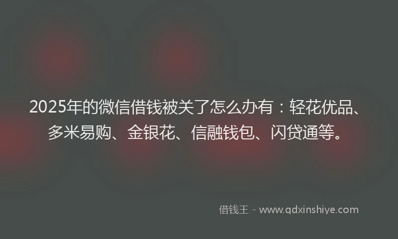 2025年的微信借钱被关了怎么办有：轻花优品、多米易购、金银花、信融钱包、闪贷通等。
