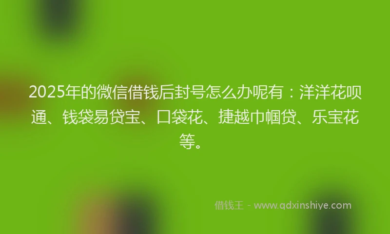2025年的微信借钱后封号怎么办呢有：洋洋花呗通、钱袋易贷宝、口袋花、捷越巾帼贷、乐宝花等。
