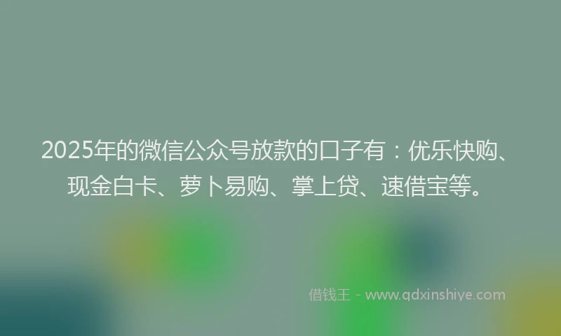 2025年的微信公众号放款的口子有：优乐快购、现金白卡、萝卜易购、掌上贷、速借宝等。