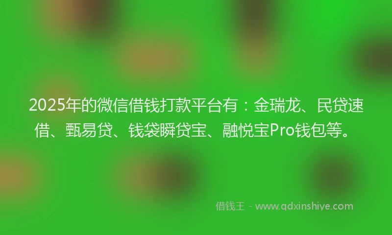 2025年的微信借钱打款平台有：金瑞龙、民贷速借、甄易贷、钱袋瞬贷宝、融悦宝Pro钱包等。