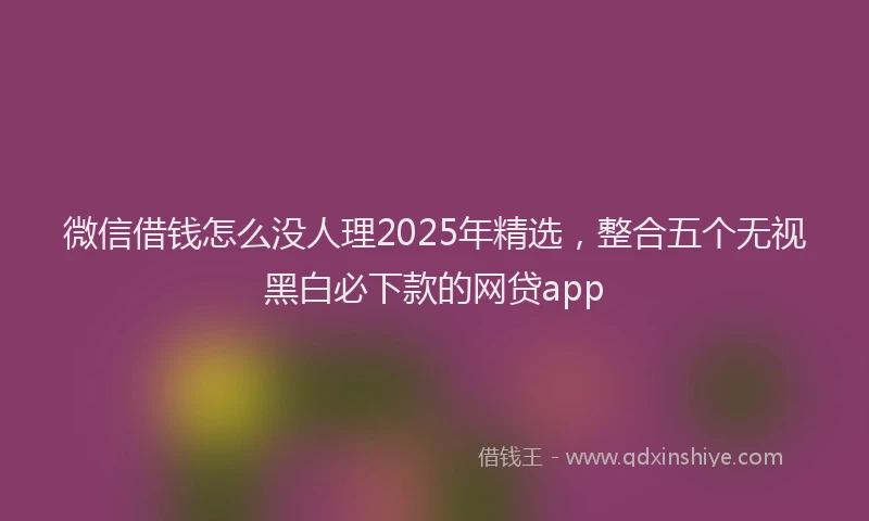 微信借钱怎么没人理2025年精选，整合五个无视黑白必下款的网贷app