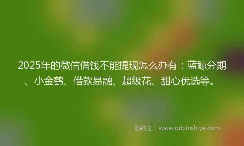 2025年的微信借钱不能提现怎么办有：蓝鲸分期、小金鹤、借款易融、超级花、甜心优选等。