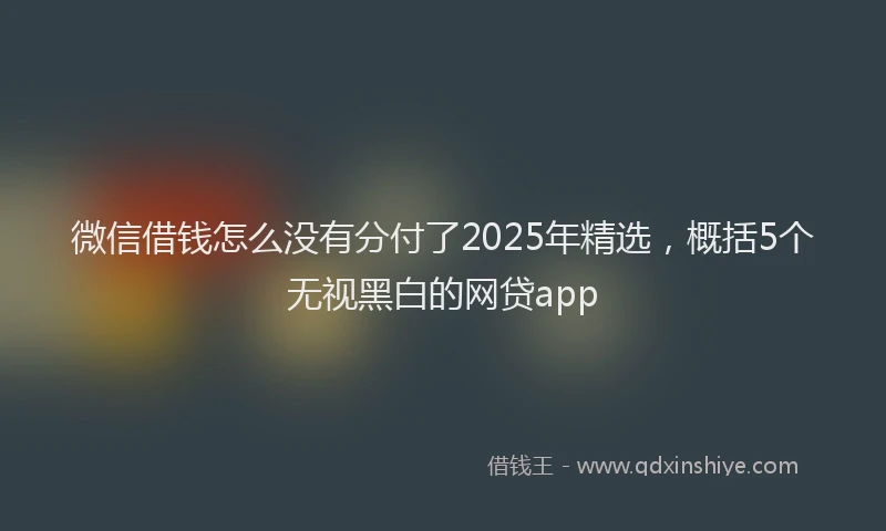 微信借钱怎么没有分付了2025年精选，概括5个无视黑白的网贷app