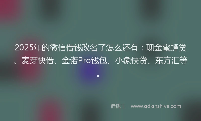 2025年的微信借钱改名了怎么还有：现金蜜蜂贷、麦芽快借、金诺Pro钱包、小象快贷、东方汇等。