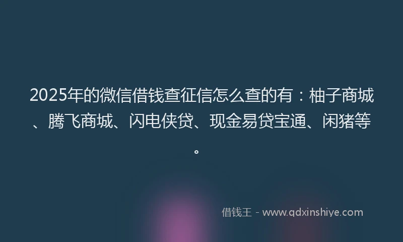 2025年的微信借钱查征信怎么查的有：柚子商城、腾飞商城、闪电侠贷、现金易贷宝通、闲猪等。