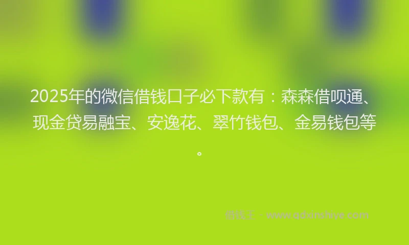 2025年的微信借钱口子必下款有：森森借呗通、现金贷易融宝、安逸花、翠竹钱包、金易钱包等。