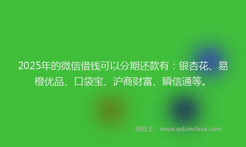 2025年的微信借钱可以分期还款有：银杏花、易橙优品、口袋宝、沪商财富、瞬信通等。