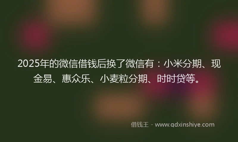 2025年的微信借钱后换了微信有：小米分期、现金易、惠众乐、小麦粒分期、时时贷等。