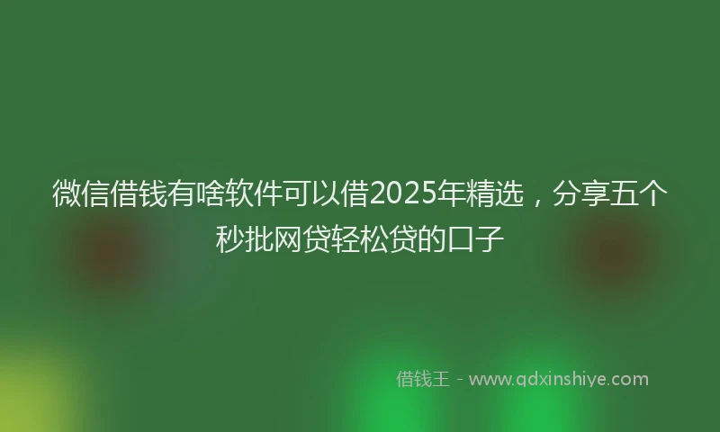 微信借钱有啥软件可以借2025年精选，分享五个秒批网贷轻松贷的口子