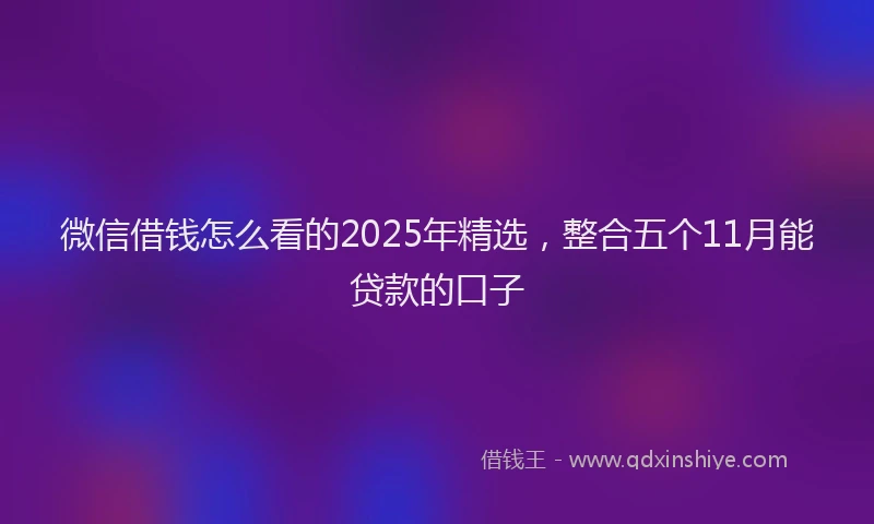 微信借钱怎么看的2025年精选，整合五个11月能贷款的口子