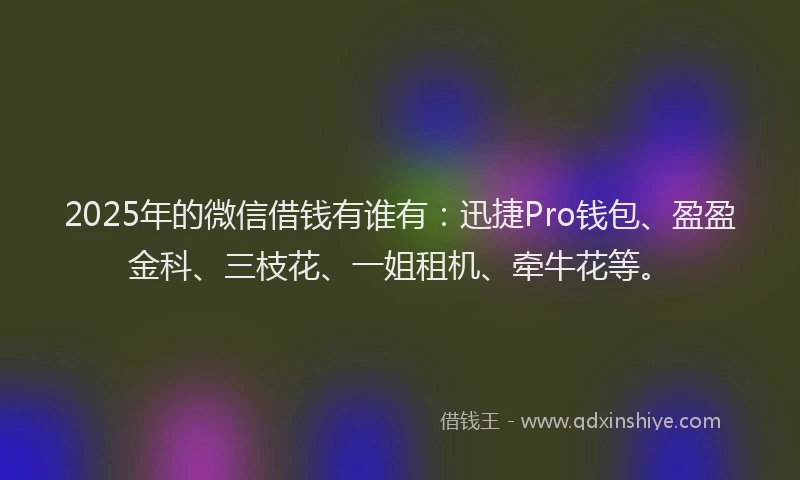2025年的微信借钱有谁有：迅捷Pro钱包、盈盈金科、三枝花、一姐租机、牵牛花等。