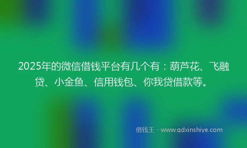 2025年的微信借钱平台有几个有：葫芦花、飞融贷、小金鱼、信用钱包、你我贷借款等。