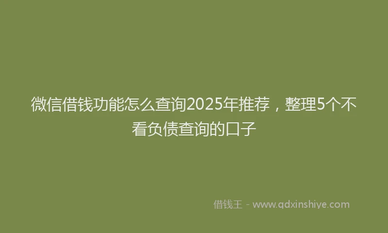 微信借钱功能怎么查询2025年推荐，整理5个不看负债查询的口子