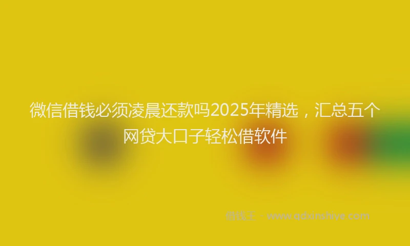 微信借钱必须凌晨还款吗2025年精选，汇总五个网贷大口子轻松借软件