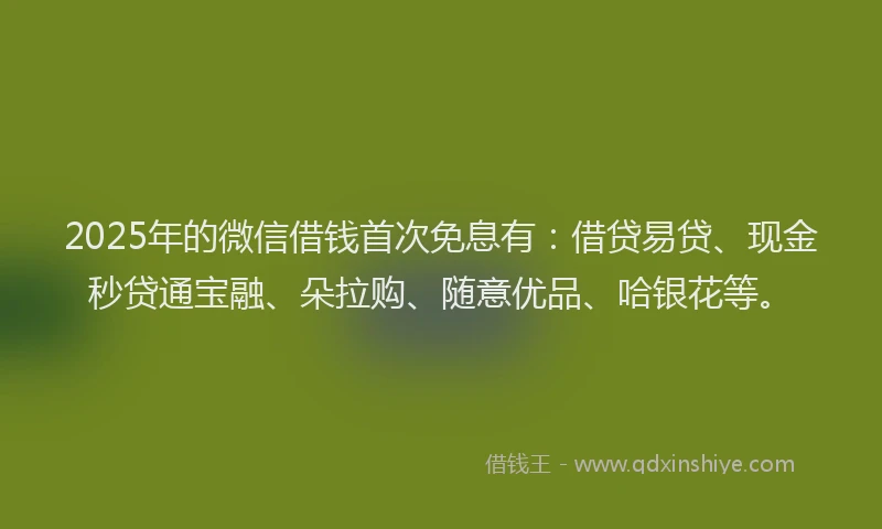 2025年的微信借钱首次免息有：借贷易贷、现金秒贷通宝融、朵拉购、随意优品、哈银花等。