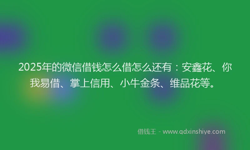 2025年的微信借钱怎么借怎么还有：安鑫花、你我易借、掌上信用、小牛金条、维品花等。