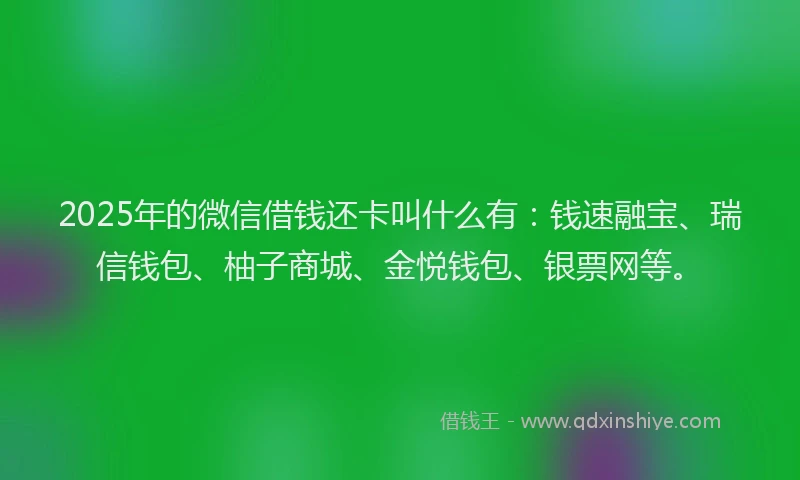 2025年的微信借钱还卡叫什么有：钱速融宝、瑞信钱包、柚子商城、金悦钱包、银票网等。