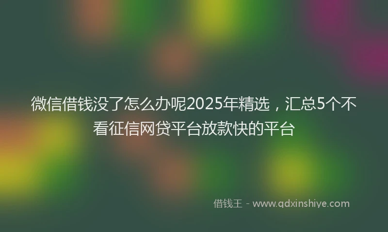 微信借钱没了怎么办呢2025年精选，汇总5个不看征信网贷平台放款快的平台