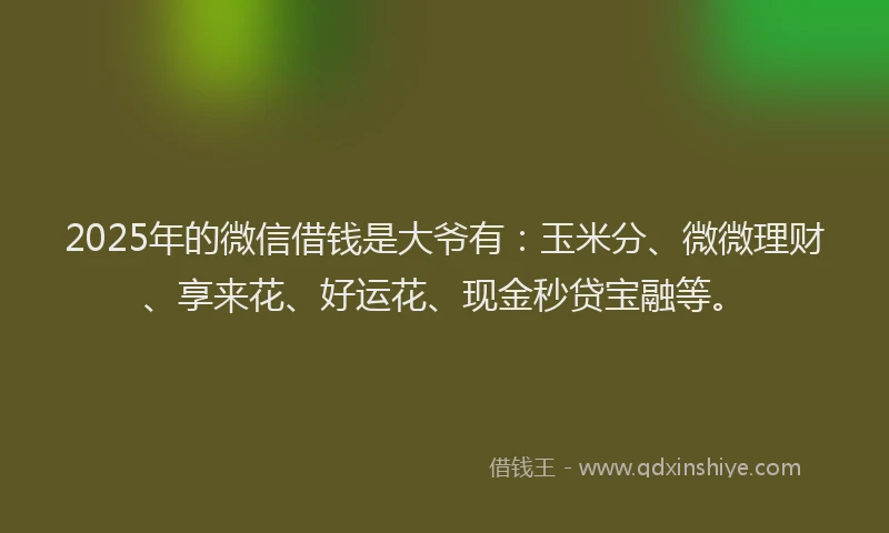 2025年的微信借钱是大爷有：玉米分、微微理财、享来花、好运花、现金秒贷宝融等。